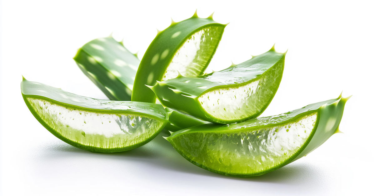 Vatten — den kompletta guiden till 9 vattentyper Aloe Vera EZ Vatten Strukturerat