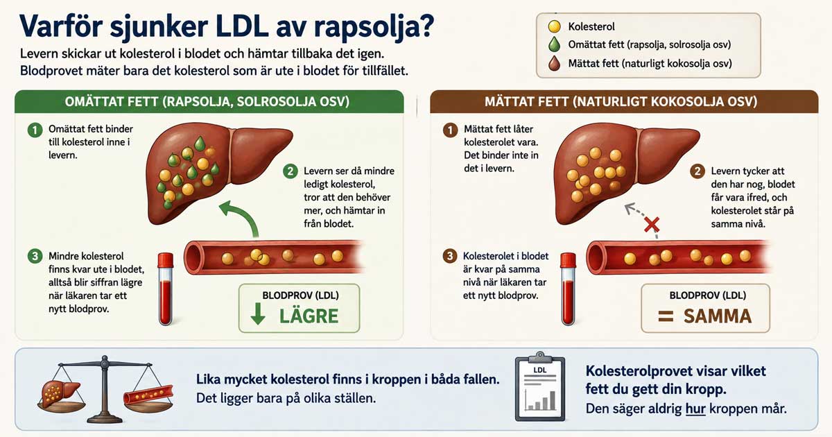 Kolesterol Rapsolja LDL