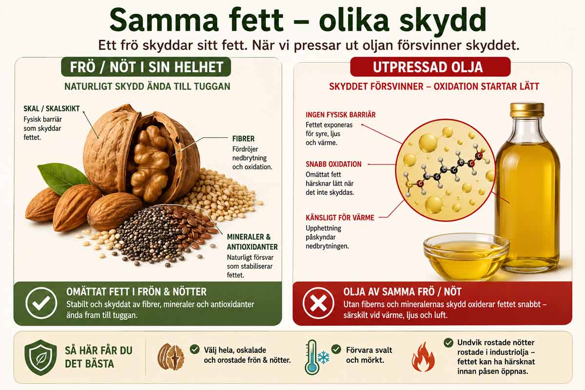 Fett olika skydd naturligt industriellt