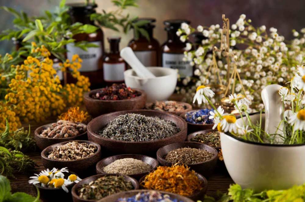 Naturmedicin med örter – så får din kropp mer energi Naturmedicin Mer energi